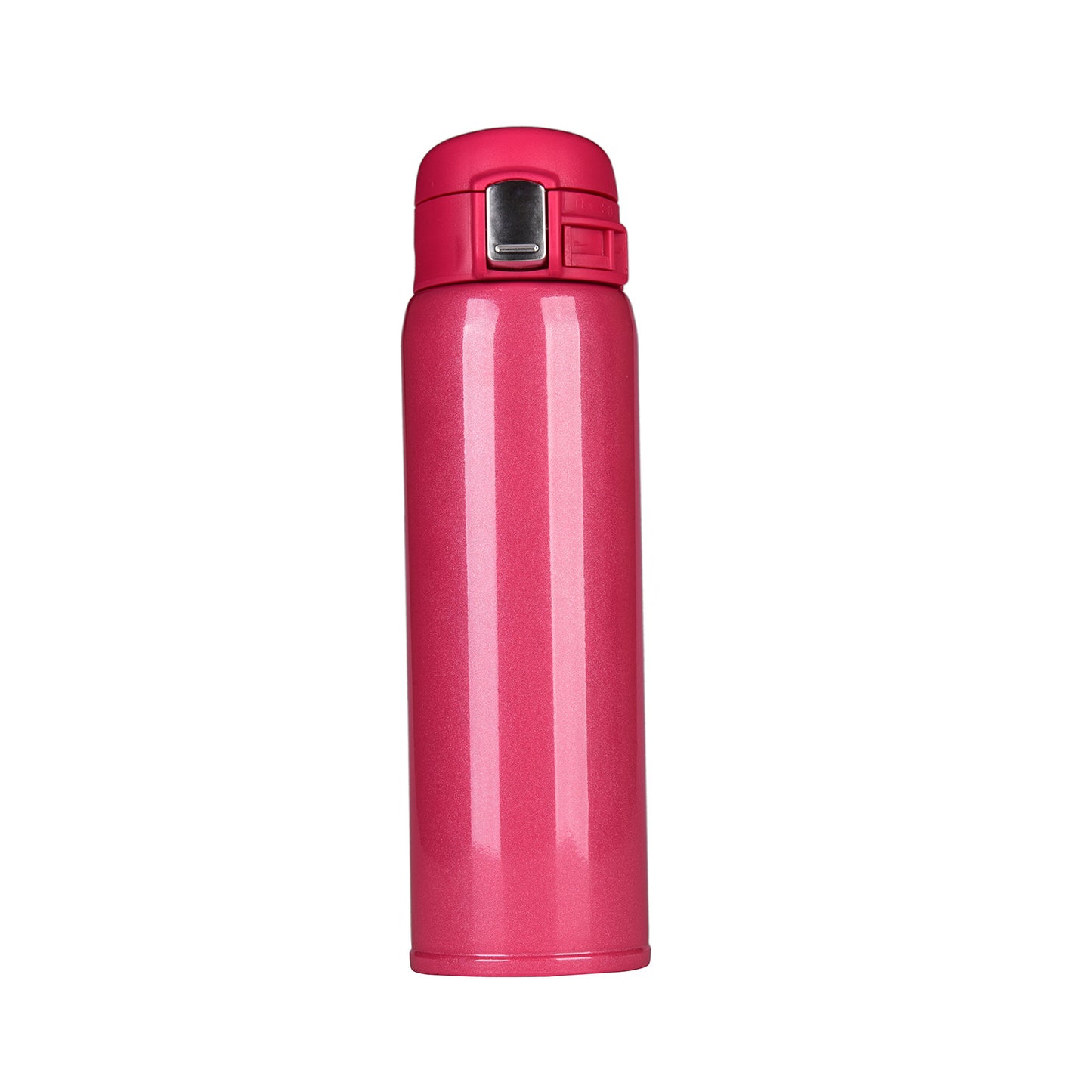 Stainless Steel Insulated Water Bottle with Lid